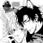 Katekyo! Brap dj - Kemomimi