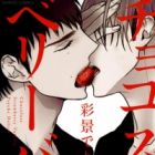 Choco Strawberry Vanilla