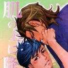 Hada no Ue no Renai Jijou