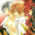 Aisareru Hito e Tsugu