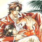 Shiawase no Category