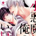 Koakuma wa Ore no Iinari