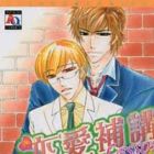 Renai Hokou