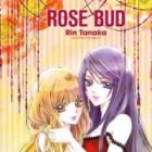 Rose Bud