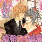 Hanamachi Junjou Rouman