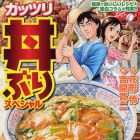 Gattsuri Donburi Special