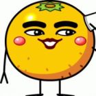 Mikan-Seijin