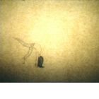 Kodomo no Kaitei no Koto