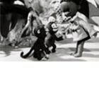 Chibikuro Sambo no Tora Taiji