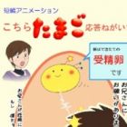 Kochira Tamago Outou Negaimasu
