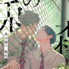 la For&ecirc;t aux lapins