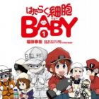 Hataraku Saibou Baby
