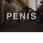 Penis