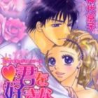 Kimi wo Suki na Riy&ucirc;